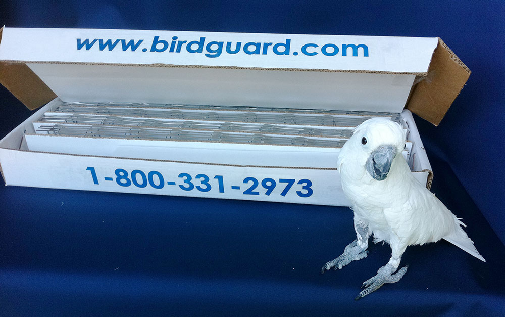 BirdGuard DIY Kit